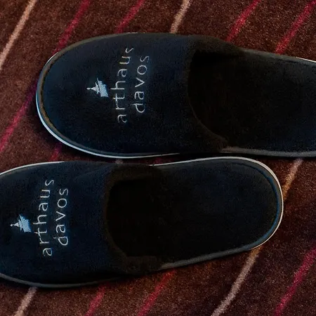 酒店 Arthaushotel 3*