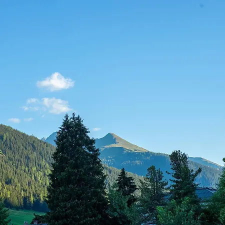 酒店 Arthaushotel 达沃斯