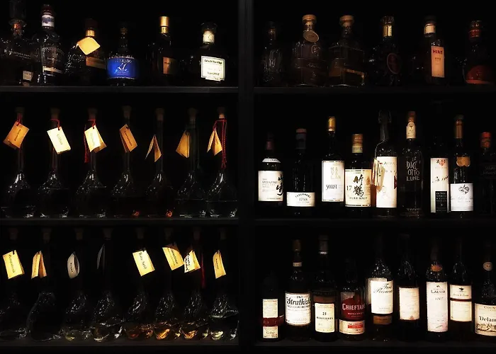 Hotel Arthaushotel 3*