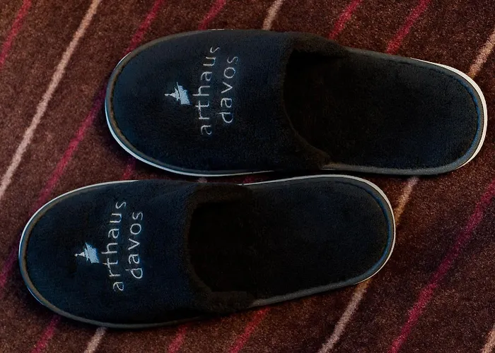 Hotel Arthaushotel 3*